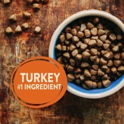 Wellness CORE Grain-Free Small Breed Turkey & Chicken Recipe Dry Dog Food & Wellness CORE Healthy Joints Beef Grain-Free Crunchy Dog Treats -Blue Buffalos Shop 298702 PT2. AC SS1800 V1621982578
