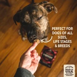 Wellness CORE Grain-Free Small Breed Turkey & Chicken Recipe Dry Dog Food & Wellness CORE Healthy Joints Beef Grain-Free Crunchy Dog Treats -Blue Buffalos Shop 298702 PT6. AC SS1800 V1621983438