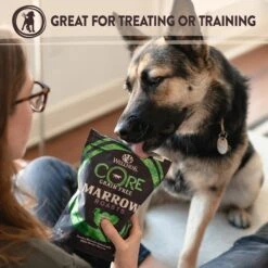 Wellness CORE Grain-Free Small Breed Turkey & Chicken Recipe Dry Dog Food & Wellness CORE Healthy Joints Beef Grain-Free Crunchy Dog Treats -Blue Buffalos Shop 298702 PT7. AC SS1800 V1621988601