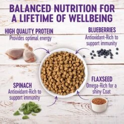 Wellness Large Breed Complete Health Puppy Deboned Chicken, Brown Rice & Salmon Meal Recipe Dry Dog Food & Wellness Complete Health Just For Puppy Canned Dog Food -Blue Buffalos Shop 298728 PT7. AC SS1800 V1691425679