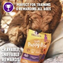 Wellness Small Breed Complete Health Puppy Turkey, Oatmeal & Salmon Meal Recipe Dry Dog Food & Wellness Soft Puppy Bites Lamb & Salmon Recipe Grain-Free Natural Dog Treats -Blue Buffalos Shop 298750 PT4. AC SS1800 V1621981938