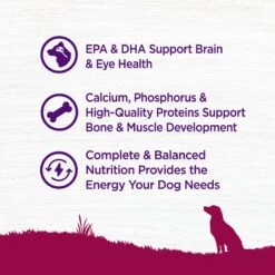 Wellness Small Breed Complete Health Puppy Turkey, Oatmeal & Salmon Meal Recipe Dry Dog Food & Wellness Soft Puppy Bites Lamb & Salmon Recipe Grain-Free Natural Dog Treats -Blue Buffalos Shop 298750 PT7. AC SS1800 V1621988896