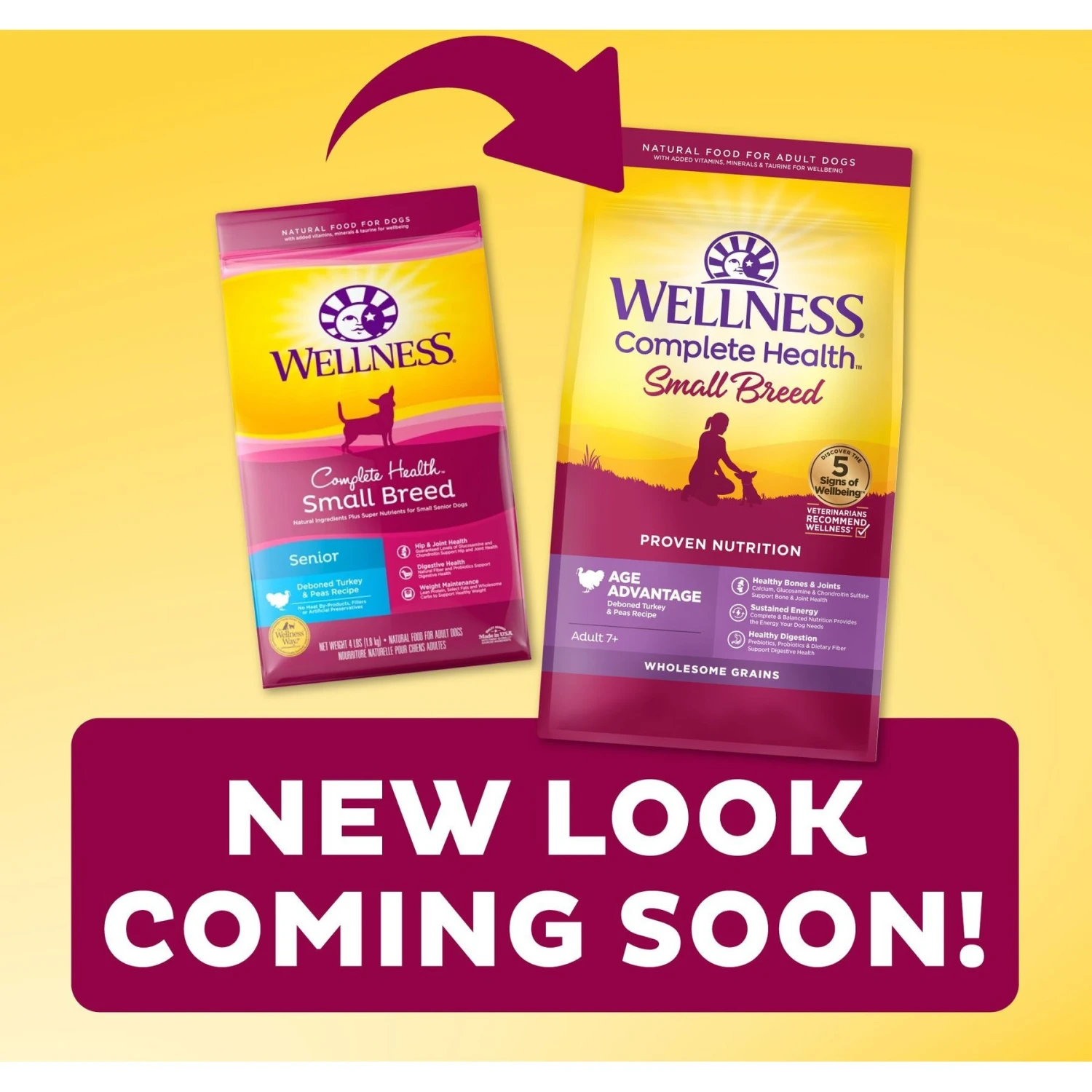 Wellness Small Breed Complete Health Senior Deboned Turkey & Peas Recipe Dry Dog Food & Wellness Complete Health Senior Formula Natural Canned Dog Food 9 Wellness Small Breed Complete Health Senior Deboned Turkey & Peas Recipe Dry Dog Food & Wellness Complete Health Senior Formula Natural Canned Dog Food - Image 7