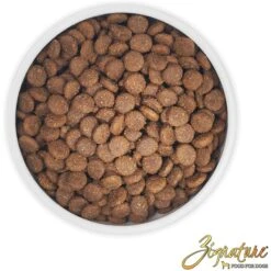 Zignature Duck Limited Ingredient Formula Dry Dog Food & Zignature Duck Formula Ziggy Bars Biscuit Dog Treats -Blue Buffalos Shop 298856 PT3. AC SS1800 V1674151314
