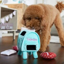 Frisco Valentine Love Letters Hide & Seek Puzzle Plush Squeaky Dog Toy -Blue Buffalos Shop 298929 PT3. AC SS1800 V1638987486