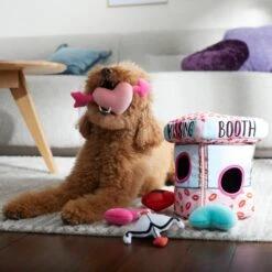 Frisco Valentine Kissing Booth Hide & Seek Puzzle Plush Squeaky Dog Toy -Blue Buffalos Shop 298943 PT3. AC SS1800 V1638987417