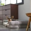 Frisco Boho Modern Couch Dog & Cat Bed -Blue Buffalos Shop 299392 MAIN. AC SS1800 V1638288742