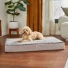 Frisco Ortho Lounger Dog & Cat Bed -Blue Buffalos Shop 299465 MAIN. AC SS1800 V1638288352