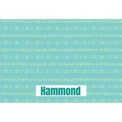 Frisco Mudcloth Personalized Dog & Cat Placemat 9 Frisco Mudcloth Personalized Dog & Cat Placemat -Blue Buffalos Shop 299552 PT2. AC SS1800 V1636048646