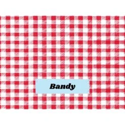 Frisco Personalized Gingham Plaid Sherpa Cat & Dog Blanket, 30" X 40" -Blue Buffalos Shop 303834 PT4. AC SS1800 V1637610144
