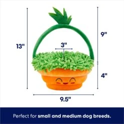 Frisco Easter Basket Hide & Seek Puzzle Plush Squeaky Dog Toy -Blue Buffalos Shop 304982 PT1. AC SS1800 V1702665736