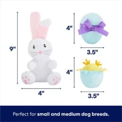 Frisco Easter Basket Hide & Seek Puzzle Plush Squeaky Dog Toy -Blue Buffalos Shop 304982 PT2. AC SS1800 V1702665735