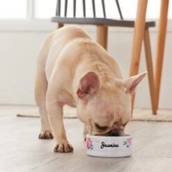 Frisco Personalized Rustic Ceramic Dog & Cat Bowl -Blue Buffalos Shop 306763 PT4. AC SS1800 V1639518086