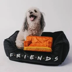 Buckle-Down Friends Bolster Dog Bed -Blue Buffalos Shop 306912 PT5. AC SS1800 V1657656801