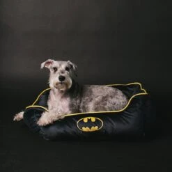 Buckle-Down Batman Bolster Dog Bed -Blue Buffalos Shop 306918 PT4. AC SS1800 V1626991571