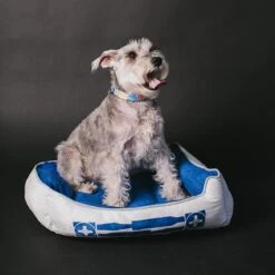 Buckle-Down Star Wars Bolster Dog Bed -Blue Buffalos Shop 306925 PT4. AC SS1800 V1626993370