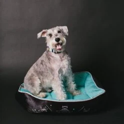 Buckle-Down Star Wars Imperial Fleet Bolster Dog Bed 11 Buckle-Down Star Wars Imperial Fleet Bolster Dog Bed -Blue Buffalos Shop 306927 PT4. AC SS1800 V1626992800