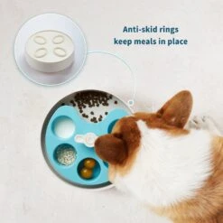 Pet Dream House SPIN Medium Level Palette Non-Skid Plastic Interactive Slow Feeder Dog Bowl, Blue -Blue Buffalos Shop 308746 PT4. AC SS1800 V1627681662