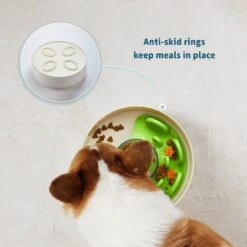 Pet Dream House SPIN Tricky Level UFO Maze Non-Skid Plastic Interactive Slow Feeder Dog Bowl -Blue Buffalos Shop 308748 PT4. AC SS1800 V1627510994