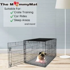 Archstone Pets The MommyMat Rosie The Pig Cat & Dog Bed -Blue Buffalos Shop 310195 PT6. AC SS1800 V1625614865