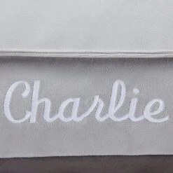 Frisco Personalized Silver Bolstered Bed With Silver Check Bolster, X-Large -Blue Buffalos Shop 311772 PT3. AC SS1800 V1630594010