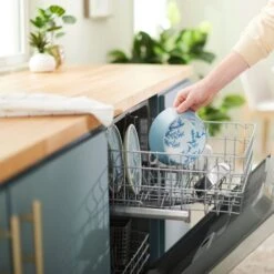 Frisco Coral Design Stainless Steel Dog & Cat Bowl 17 Frisco Coral Design Stainless Steel Dog & Cat Bowl -Blue Buffalos Shop 311972 PT7. AC SS1800 V1642543254