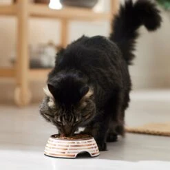 Frisco Copper Print Design Stainless Steel Dog & Cat Bowl -Blue Buffalos Shop 311975 PT3. AC SS1800 V1642542357