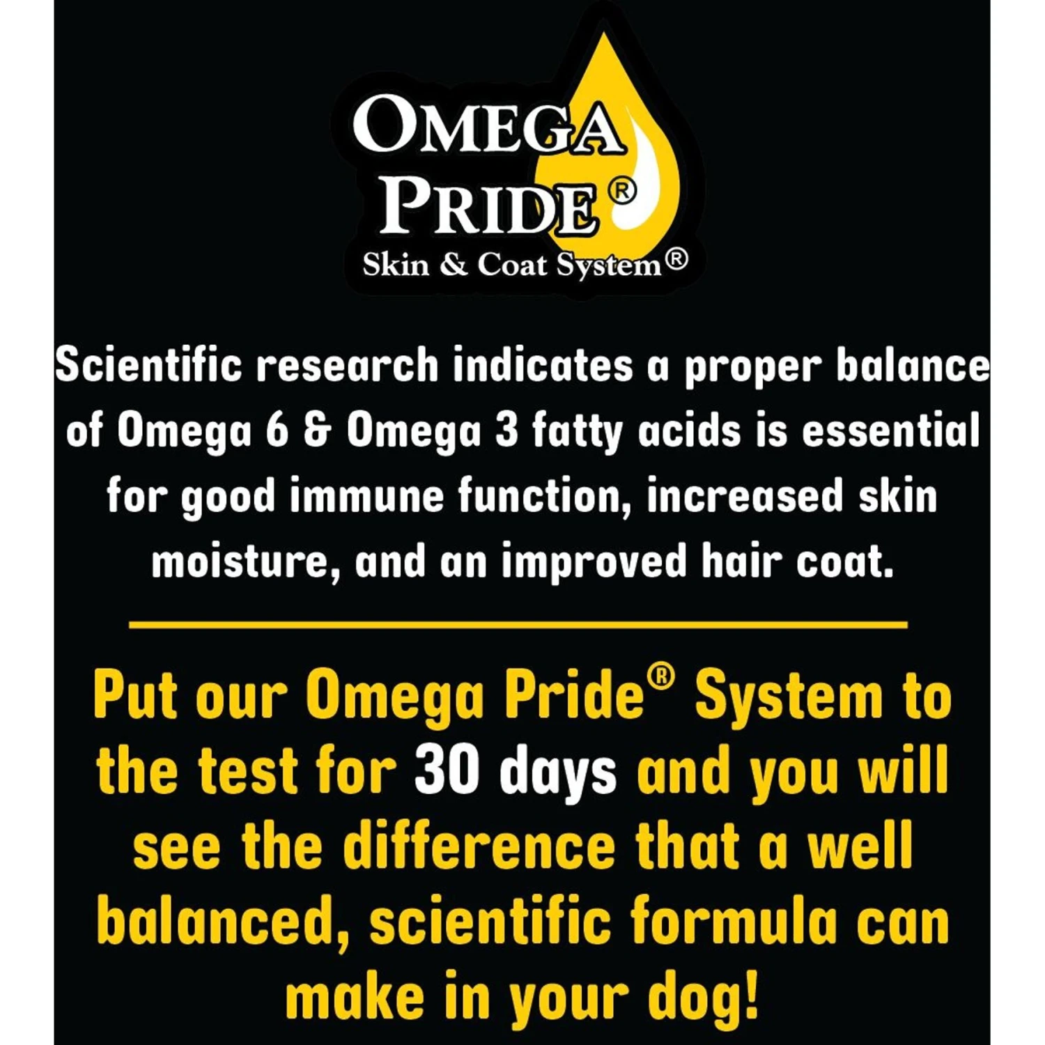 Sportsman's Pride Classic 27/17 Active Adult & Puppy Dry Dog Food, 40-lb Bag 10 Sportsman's Pride Classic 27/17 Active Adult & Puppy Dry Dog Food, 40-lb Bag - Image 8