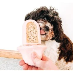 Diggs Groov Dog Crate Training Tool -Blue Buffalos Shop 313514 PT6. AC SS1800 V1627303083