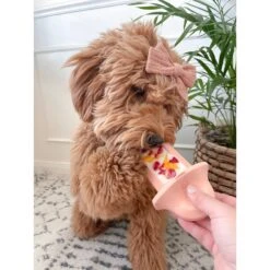 Diggs Groov Dog Crate Training Tool -Blue Buffalos Shop 313514 PT7. AC SS1800 V1627303017