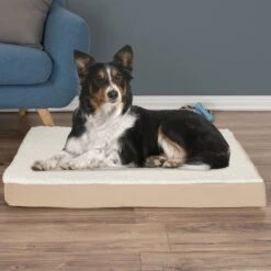 Pet Adobe Memory Foam Orthopedic Bolster Dog Bed With Removable Cover -Blue Buffalos Shop 314902 PT5. AC SS1800 V1626397929