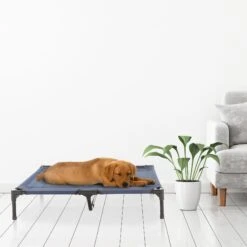 Pet Adobe Steel Frame Elevated Dog Bed 16 Pet Adobe Steel Frame Elevated Dog Bed -Blue Buffalos Shop 314921 PT6. AC SS1800 V1626386800