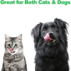 Pet Adobe Modern Double Elevated Dog Bowl -Blue Buffalos Shop 315043 PT4. AC SS1800 V1626387379