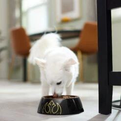 STAR WARS Melamine Stainless Steel Dog & Cat Bowl -Blue Buffalos Shop 315268 PT2. AC SS1800 V1647283229