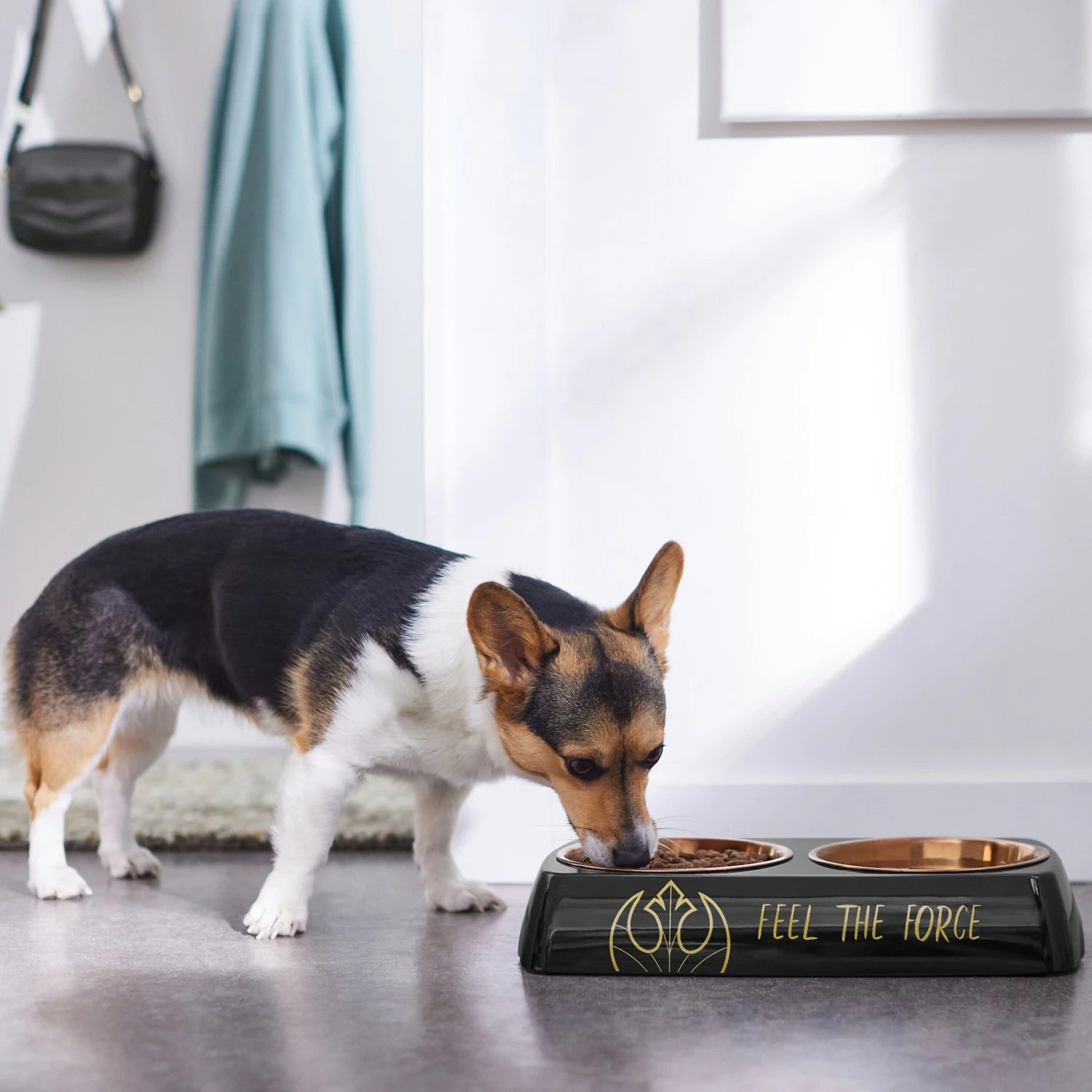 STAR WARS Melamine Stainless Steel Double Dog & Cat Bowl 5 STAR WARS Melamine Stainless Steel Double Dog & Cat Bowl - Image 3