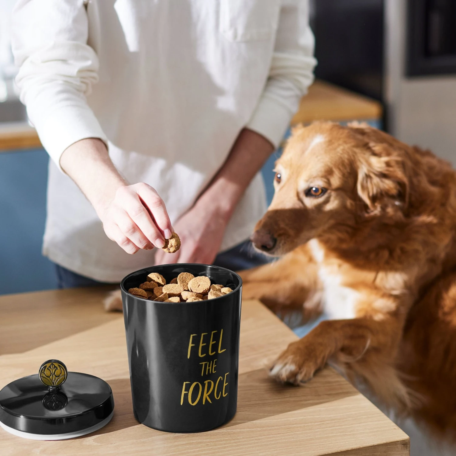 STAR WARS Melamine Dog & Cat Treat Jar 5 STAR WARS Melamine Dog & Cat Treat Jar - Image 3