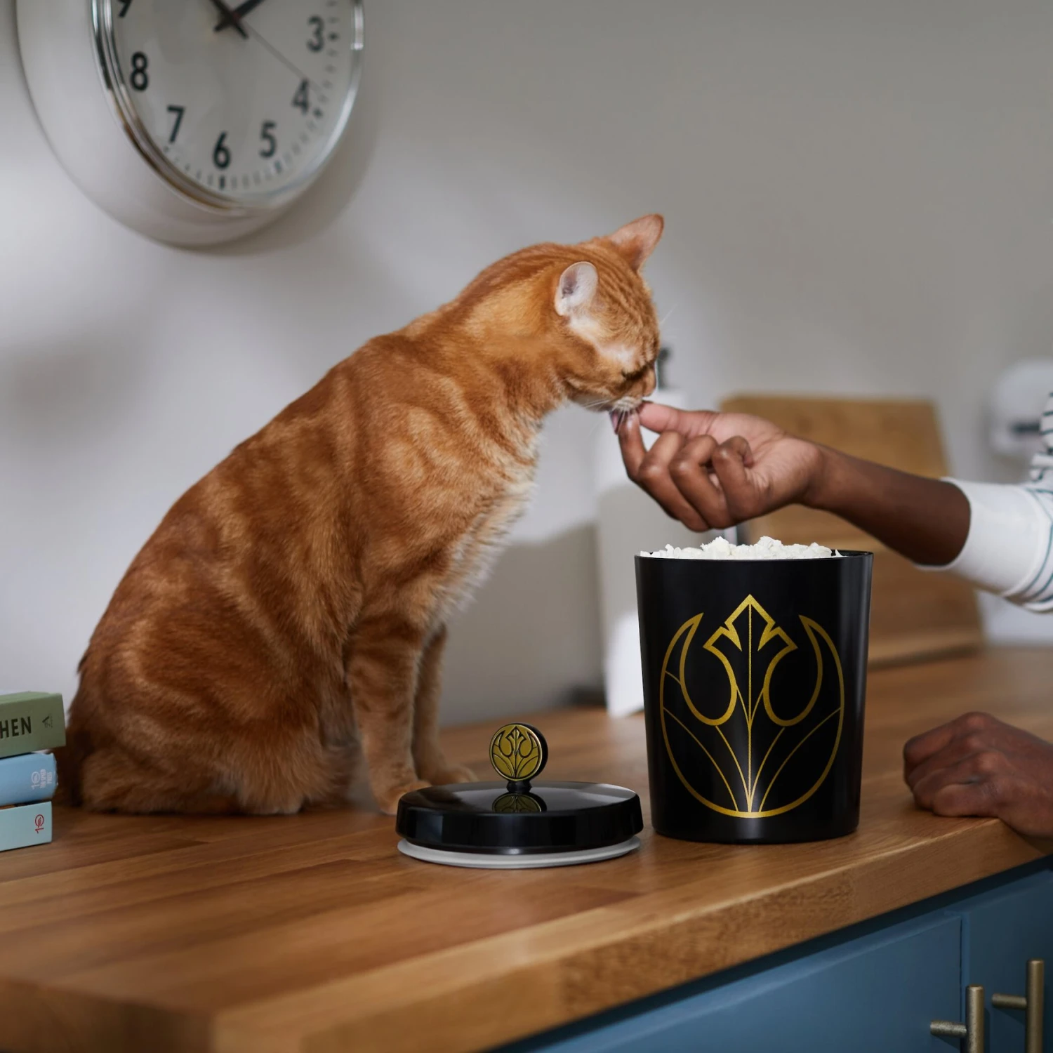 STAR WARS Melamine Dog & Cat Treat Jar 6 STAR WARS Melamine Dog & Cat Treat Jar - Image 4