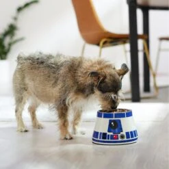 STAR WARS R2-D2 Elevated Melamine Stainless Steel Dog & Cat Bowl, 1.5 Cup -Blue Buffalos Shop 315278 PT2. AC SS1800 V1647281494
