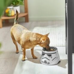 STAR WARS STORMTROOPER Melamine Elevated Stainless Steel Dog & Cat Bowl, 1.5 Cup -Blue Buffalos Shop 315280 PT2. AC SS1800 V1647283853