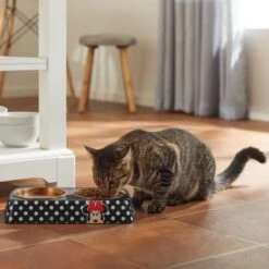 Disney Minnie Mouse Peek-A-Boo Melamine Stainless Steel Double Dog & Cat Bowl -Blue Buffalos Shop 315286 PT3. AC SS1800 V1647282324