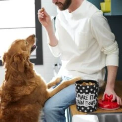 Disney Minnie Mouse Peek-A-Boo Melamine Dog & Cat Treat Jar -Blue Buffalos Shop 315289 PT2. AC SS1800 V1647282455