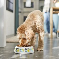 Disney Mickey Mouse Lemon Melamine Stainless Steel Dog & Cat Bowl -Blue Buffalos Shop 315295 PT2. AC SS1800 V1647282906