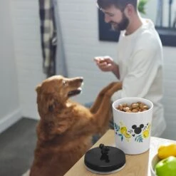 Disney Mickey Mouse Lemon Melamine Dog & Cat Treat Jar 10 Disney Mickey Mouse Lemon Melamine Dog & Cat Treat Jar -Blue Buffalos Shop 315302 PT2. AC SS1800 V1647282011