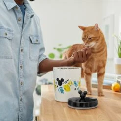 Disney Mickey Mouse Lemon Melamine Dog & Cat Treat Jar 11 Disney Mickey Mouse Lemon Melamine Dog & Cat Treat Jar -Blue Buffalos Shop 315302 PT3. AC SS1800 V1647283698