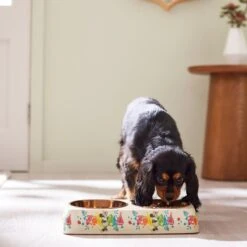 Disney Minnie Mouse Summer Bamboo Melamine Stainless Steel Double Dog & Cat Bowl -Blue Buffalos Shop 315343 PT2. AC SS1800 V1647283653