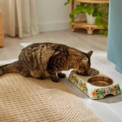 Disney Minnie Mouse Summer Bamboo Melamine Stainless Steel Double Dog & Cat Bowl -Blue Buffalos Shop 315343 PT3. AC SS1800 V1647282052