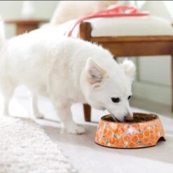 Disney Mickey Mouse Orange Bamboo Melamine Stainless Steel Dog & Cat Bowl -Blue Buffalos Shop 315346 PT2. AC SS1800 V1647283263