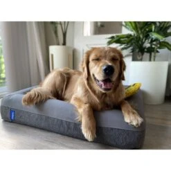 Casper Bolster Dog Bed -Blue Buffalos Shop 316201 PT7. AC SS1800 V1657656805