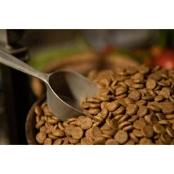 Regal Pet Foods Farmhouse Recipe Chicken & Duck Meals Whole Grains Adult Dry Dog Food 9 Regal Pet Foods Farmhouse Recipe Chicken & Duck Meals Whole Grains Adult Dry Dog Food -Blue Buffalos Shop 316443 PT3. AC SS1800 V1630335880