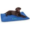 K&H Pet Products Coolin' Comfort Orthopedic Dog Bed -Blue Buffalos Shop 316722 MAIN. AC SS1800 V1682704469